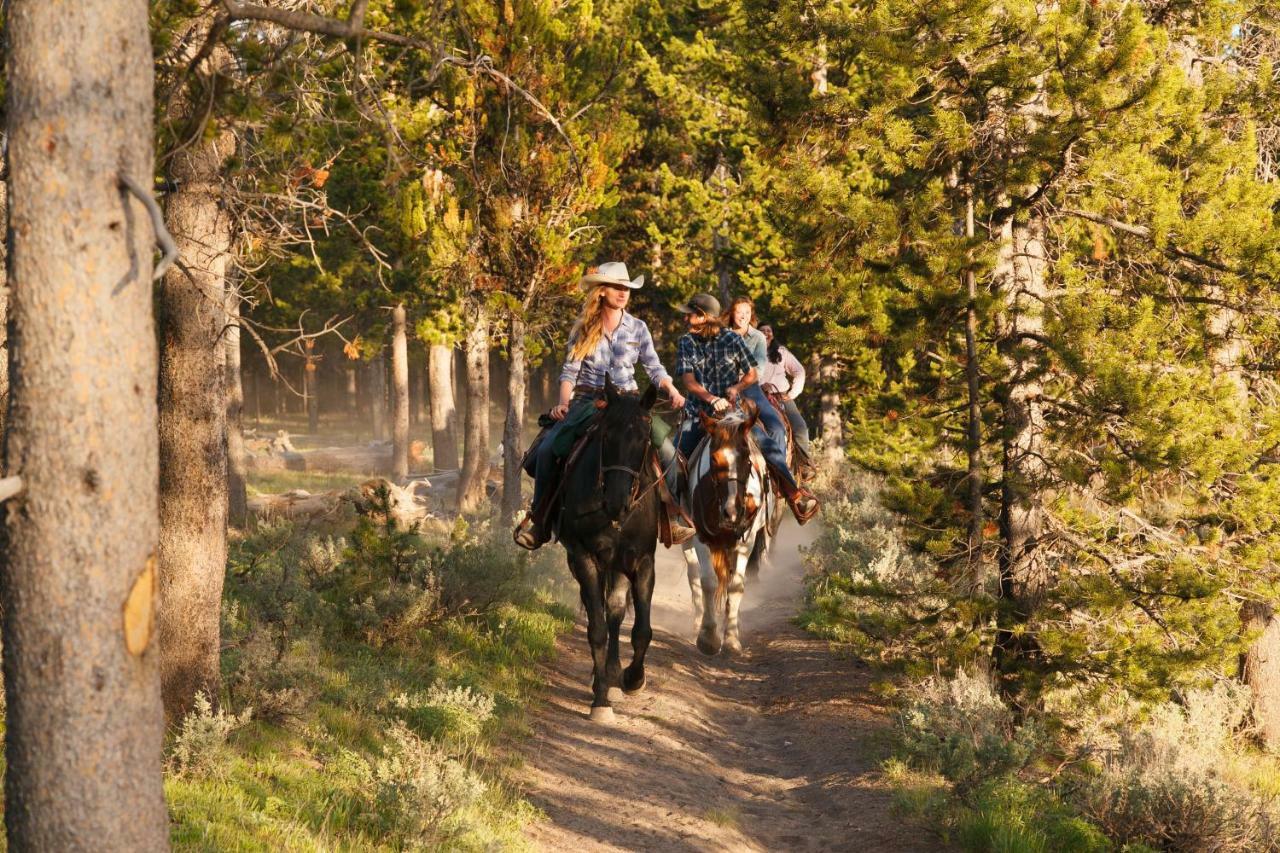 Headwaters Lodge & Cabins At Flagg Ranch Моран Екстериор снимка